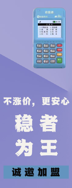 银盛支付